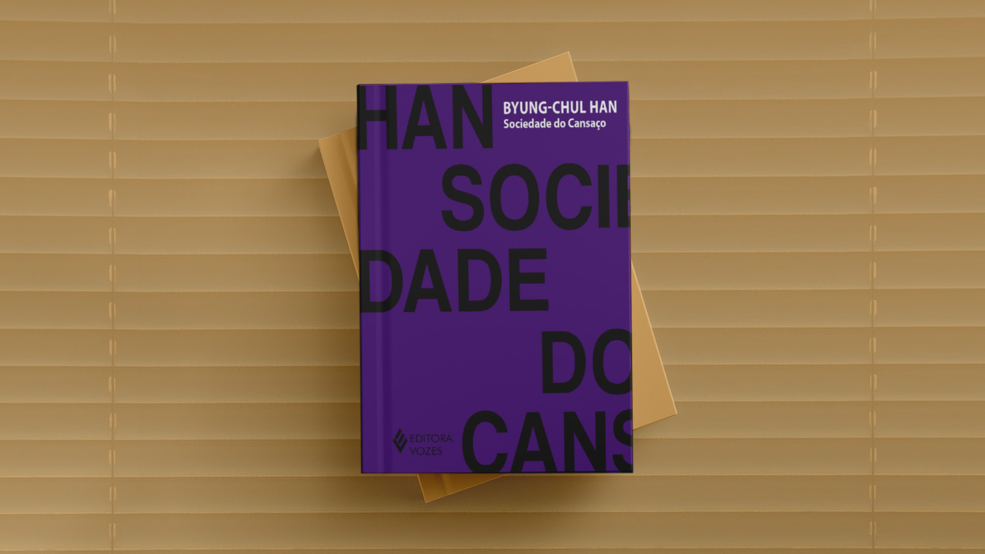 551 Sociedade do Cansaço Byung Chul Han Literário 053 irmaos